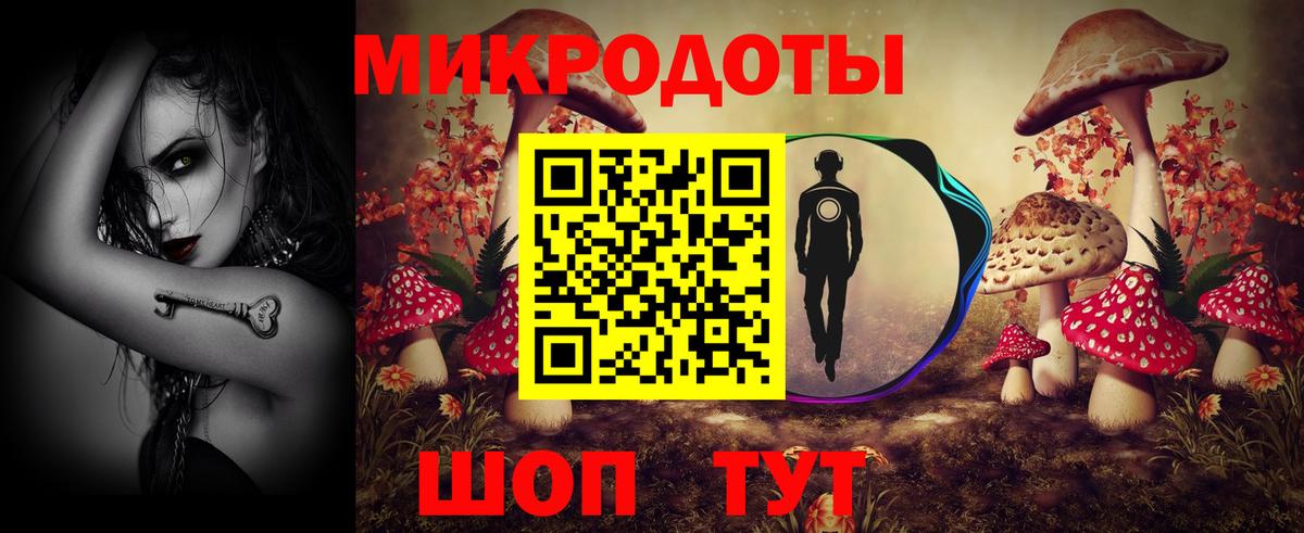 Псилоцибиновые грибы мицелий Чистополь