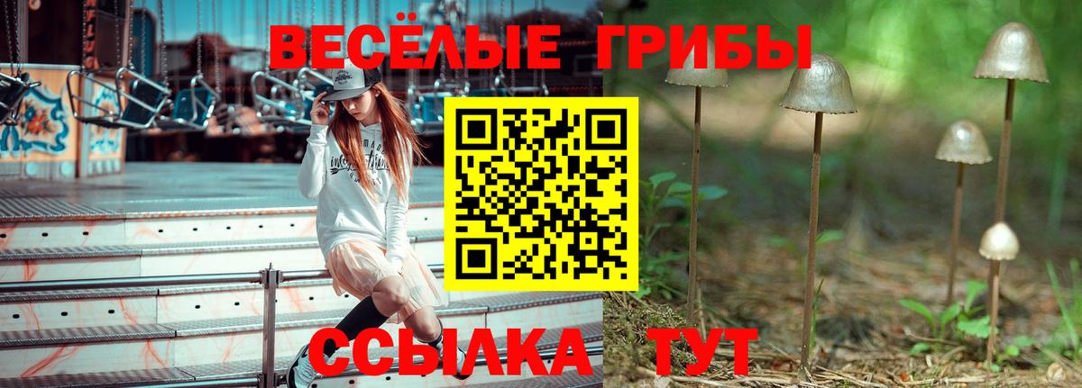 как найти наркотики  Вход с VPN  Чистополь  Галлюциногенные грибы GOLDEN TEACHER 